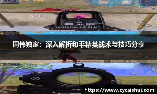 周伟独家：深入解析和平精英战术与技巧分享